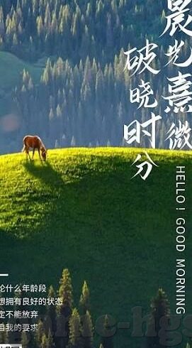 街机水果机老虎机-老虎机，街机水果机中的博弈与娱乐
